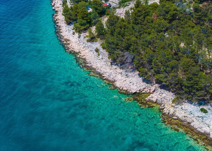 Dragon Bay - Falkor