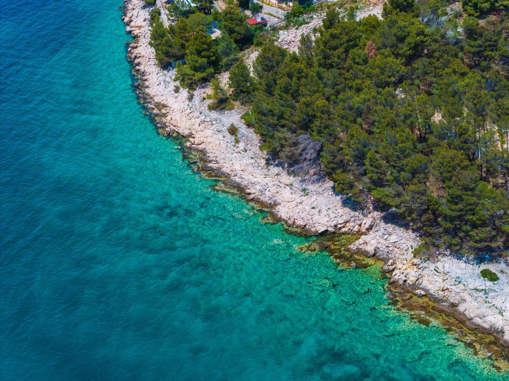 Dragon Bay - Falkor *
