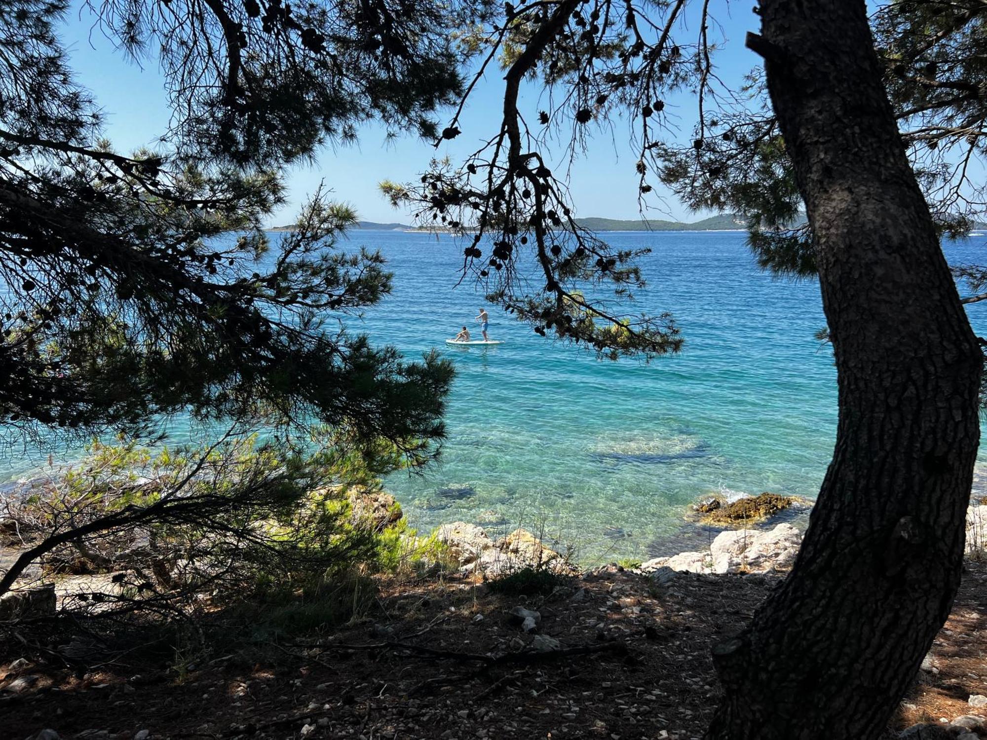 Dragon Bay - Falkor Drage
