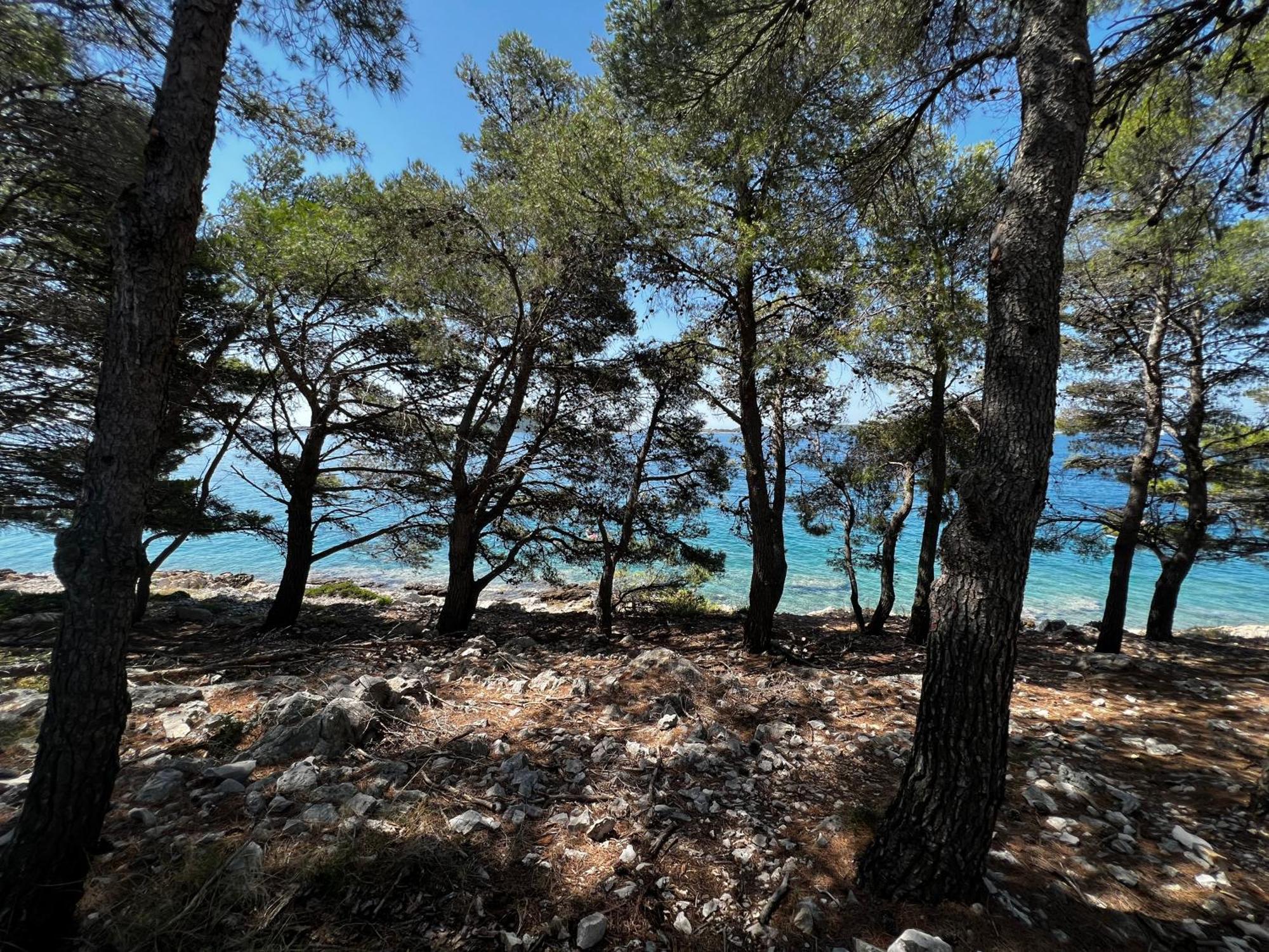Dragon Bay - Falkor Holiday home Drage